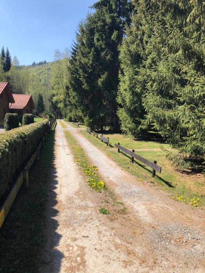 Ferienhaeuser Am Waldschloesschen Lautenthal ภายนอก รูปภาพ