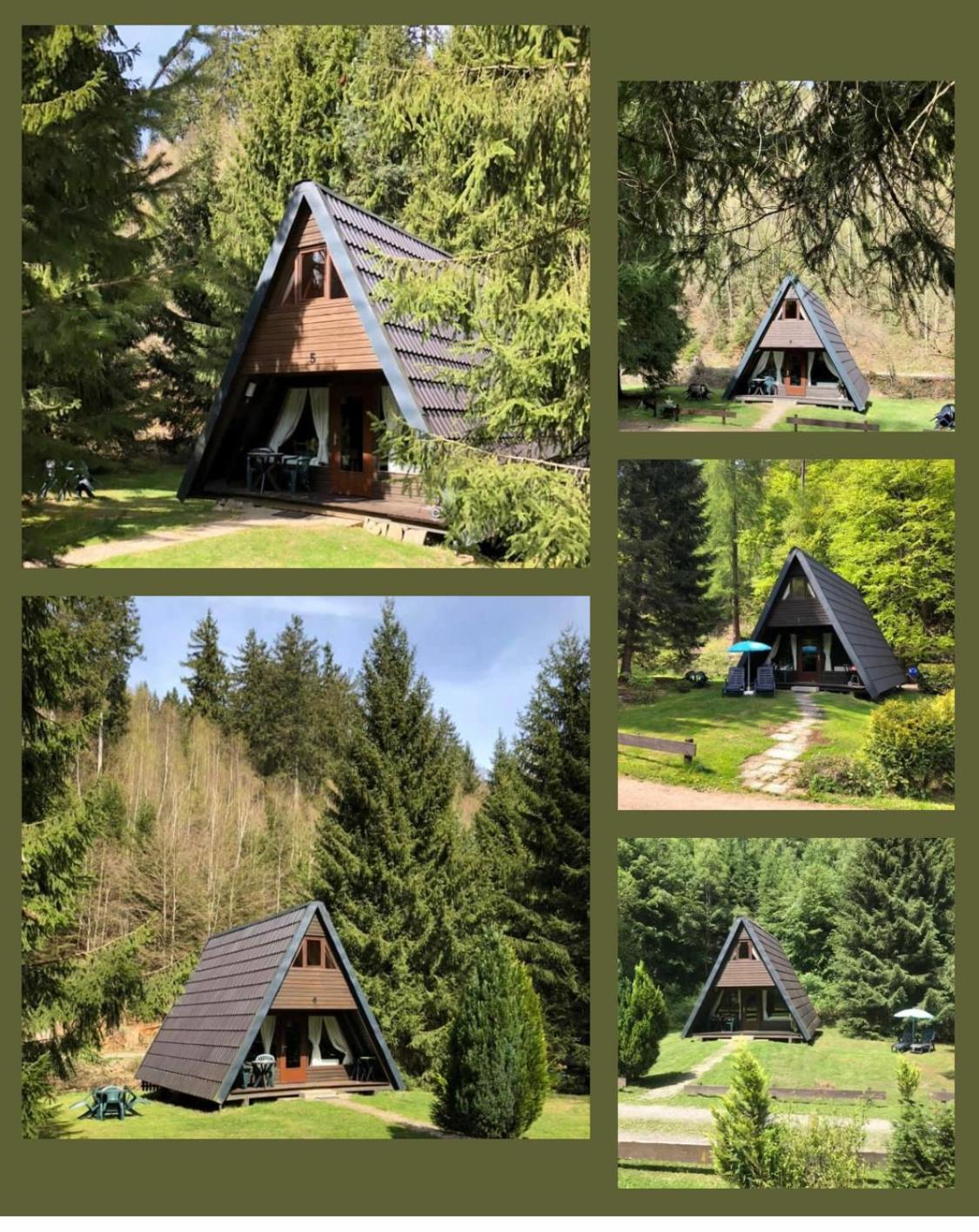 Ferienhaeuser Am Waldschloesschen Lautenthal ภายนอก รูปภาพ