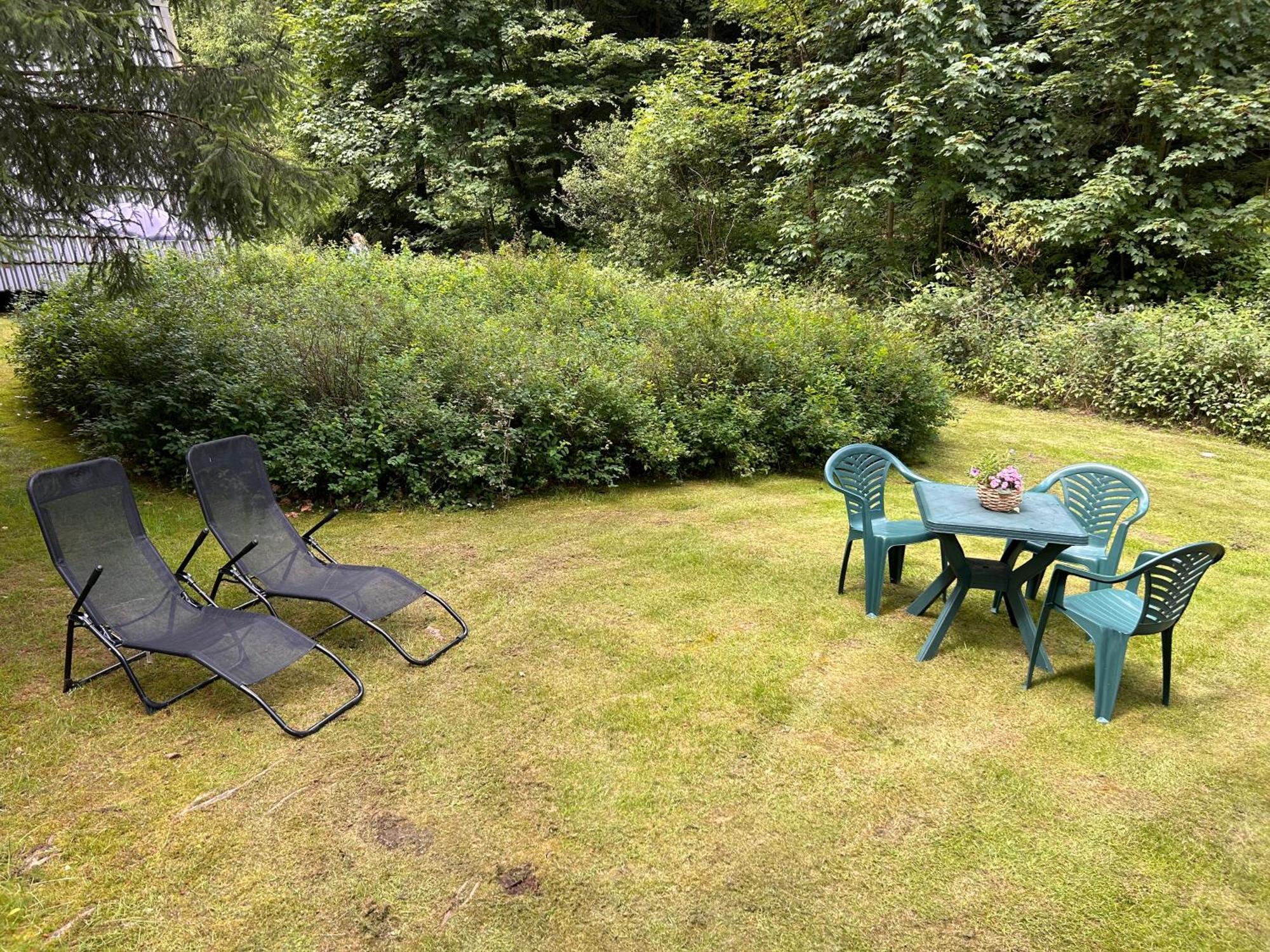 Ferienhaeuser Am Waldschloesschen Lautenthal ภายนอก รูปภาพ