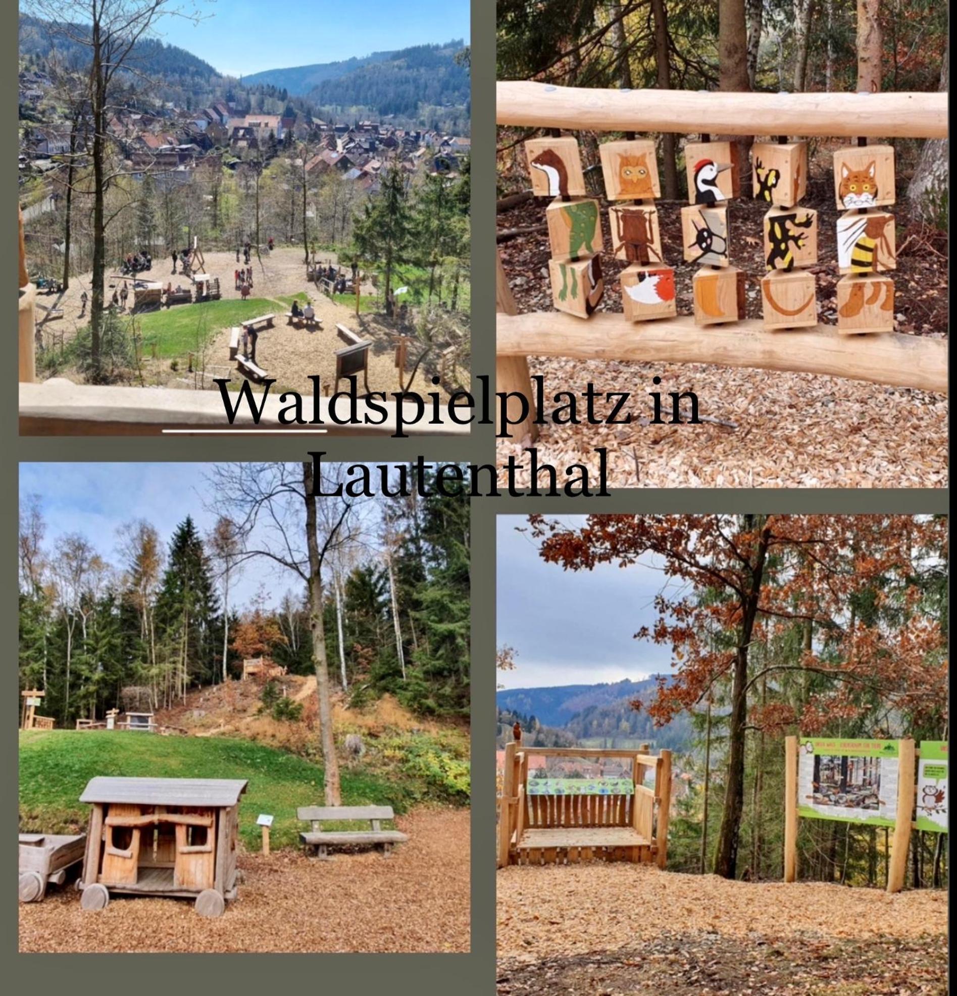 Ferienhaeuser Am Waldschloesschen Lautenthal ภายนอก รูปภาพ