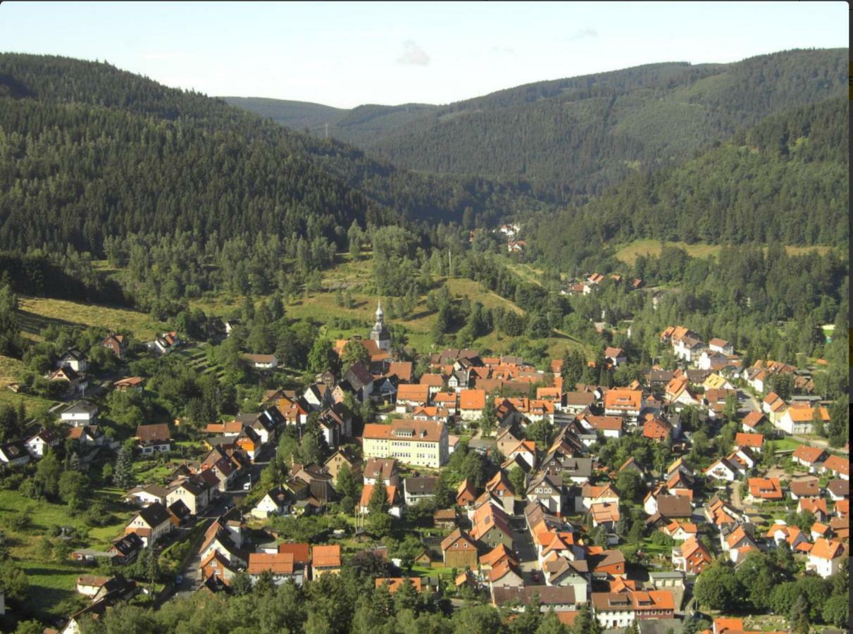 Ferienhaeuser Am Waldschloesschen Lautenthal ภายนอก รูปภาพ