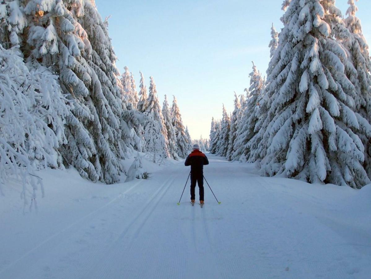 Ferienhaeuser Am Waldschloesschen Lautenthal ภายนอก รูปภาพ