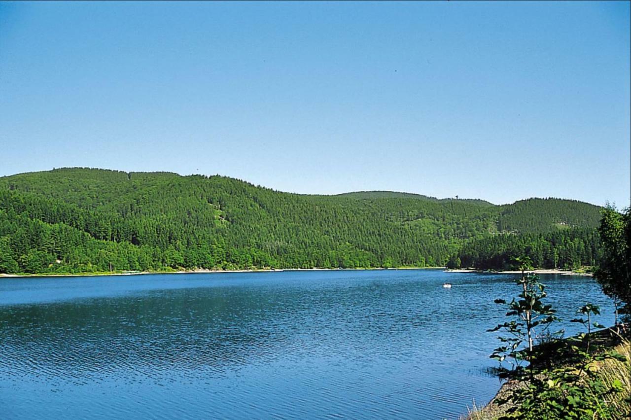 Ferienhaeuser Am Waldschloesschen Lautenthal ภายนอก รูปภาพ
