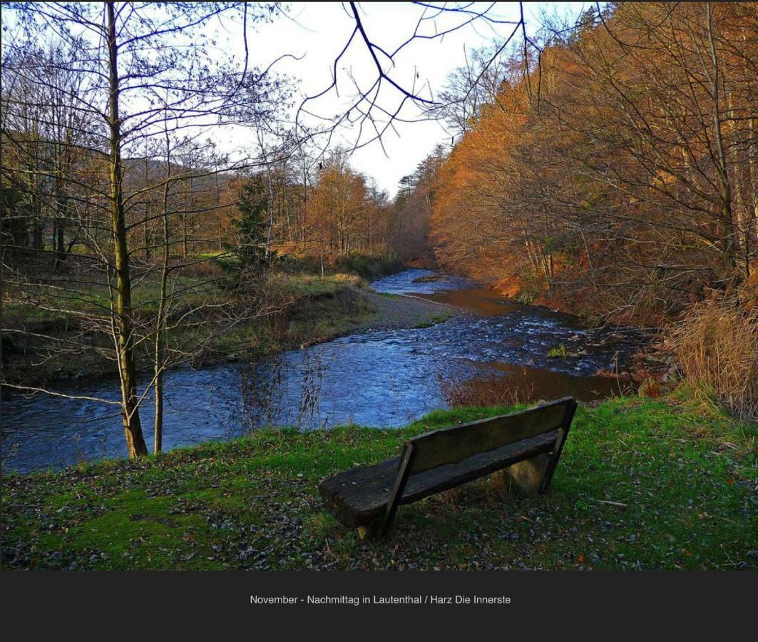 Ferienhaeuser Am Waldschloesschen Lautenthal ภายนอก รูปภาพ