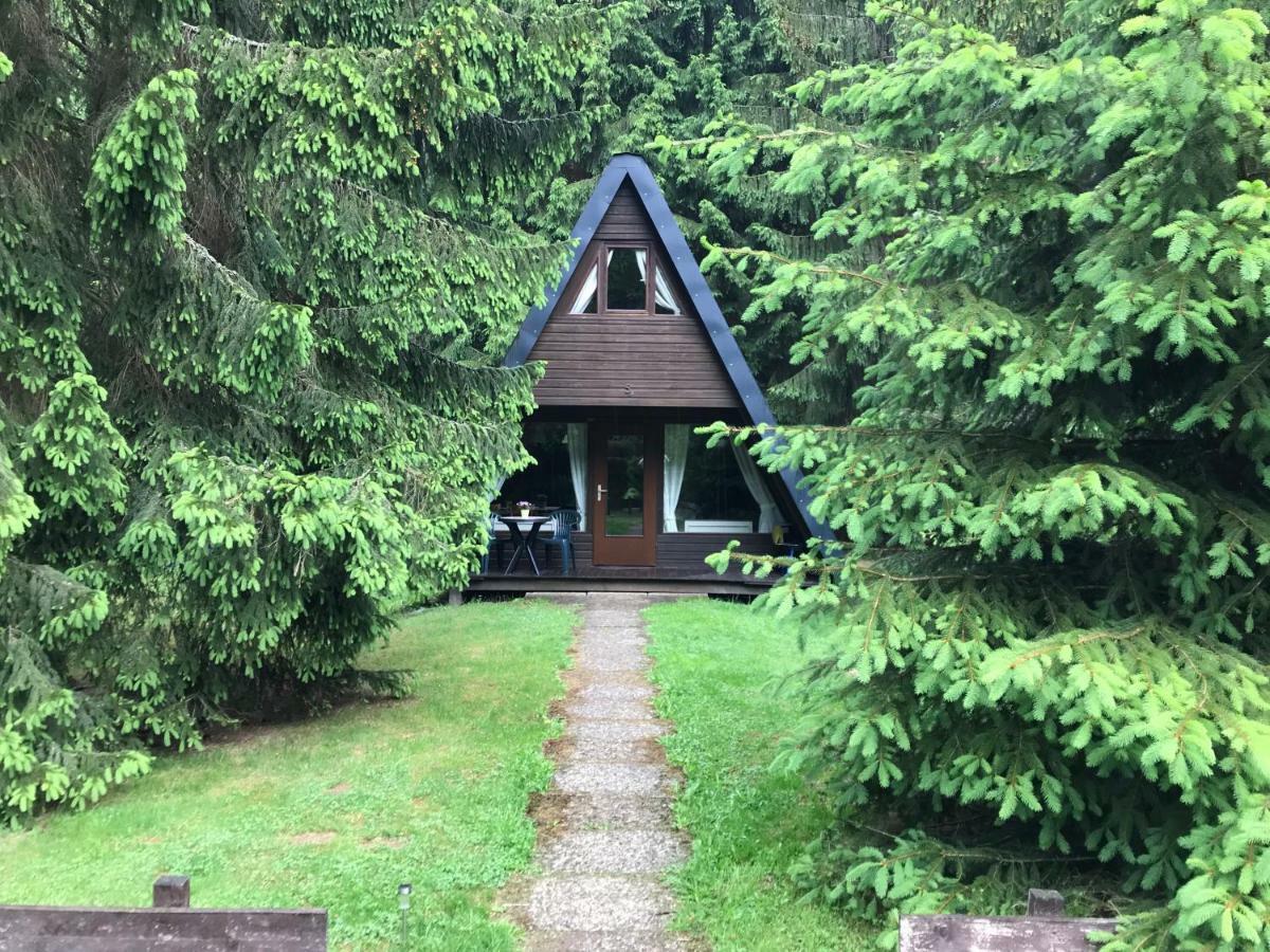 Ferienhaeuser Am Waldschloesschen Lautenthal ภายนอก รูปภาพ
